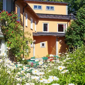 Stf Zinkensdamm Stockholm